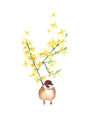 PSD 한마리 꽃 일러스트 캘리그라피 조류 붓터치 수채화 사람없음 노란색 봄 개나리 번짐 국내일러스트 식물 동물 1 계절 컬러 파일형식 효과