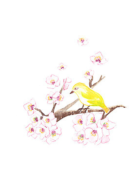 PSD 한마리 일러스트 캘리그라피 조류 붓터치 수채화 사람없음 노란색 가을 번짐 꽃가지 국내일러스트 동물 1 계절 꽃 컬러 나뭇가지 파일형식 효과