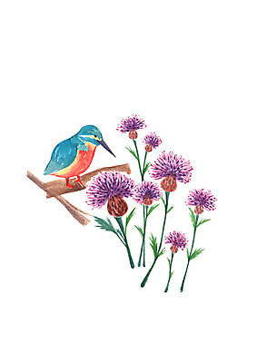 PSD 한마리 꽃 일러스트 캘리그라피 조류 붓터치 수채화 사람없음 보라색 가을 나뭇가지 번짐 국내일러스트 나무 식물 동물 1 계절 컬러 파일형식 효과