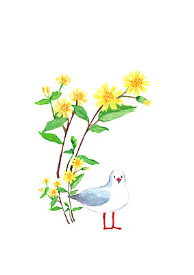 PSD 한마리 꽃 일러스트 캘리그라피 조류 붓터치 수채화 사람없음 노란색 가을 번짐 국내일러스트 식물 동물 1 계절 컬러 파일형식 효과