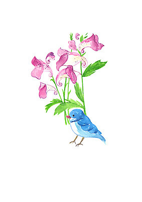 PSD 한마리 꽃 일러스트 캘리그라피 조류 붓터치 수채화 사람없음 파란색 가을 번짐 국내일러스트 식물 동물 1 계절 컬러 파일형식 효과