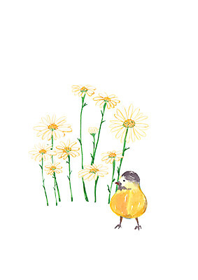 PSD 한마리 꽃 일러스트 캘리그라피 조류 붓터치 수채화 사람없음 노란색 가을 번짐 국내일러스트 식물 동물 1 계절 컬러 파일형식 효과