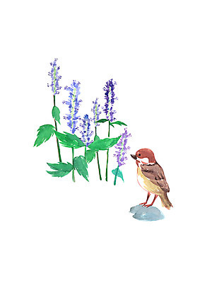 PSD 한마리 꽃 일러스트 캘리그라피 붓터치 수채화 사람없음 보라색 가을 번짐 참새 국내일러스트 식물 1 계절 컬러 조류 파일형식 효과