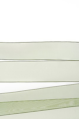 포토 JPG 스튜디오촬영 리본 실내 사람없음 연두색 하이앵글 끈 오브젝트 흰배경 플랫레이 오간디리본 국내포토 뷰포인트 백그라운드 내부 초록색 흰색 플랫 파일형식