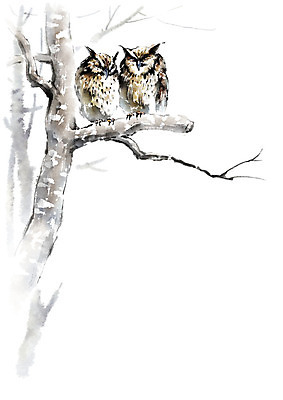 PSD 나무 두마리 겨울 일러스트 캘리그라피 붓터치 앉기 사람없음 갈색 검은색 기댐 나뭇가지 잠 번짐 부엉이 국내일러스트 식물 계절 컬러 2 모션 조류 파일형식 효과