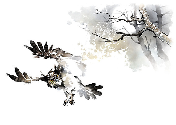 PSD 나무 한마리 겨울 일러스트 캘리그라피 밤하늘 붓터치 사람없음 갈색 검은색 달 나뭇가지 번짐 부엉이 국내일러스트 자연요소 식물 1 계절 컬러 조류 하늘 야간 파일형식 효과