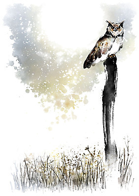 PSD 한마리 겨울 일러스트 캘리그라피 밤하늘 붓터치 갈대 앉기 사람없음 갈색 검은색 달 기둥 숲 번짐 부엉이 국내일러스트 자연요소 식물 1 계절 건축 컬러 모션 조류 하늘 야간 파일형식 효과