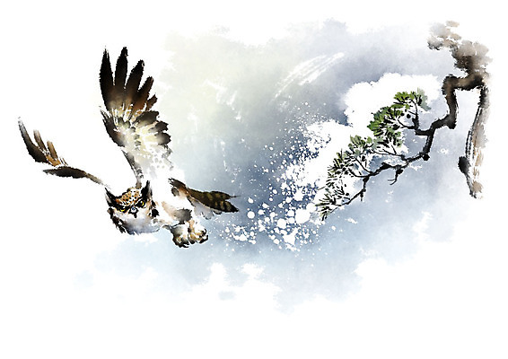 PSD 나무 한마리 겨울 일러스트 캘리그라피 붓터치 사람없음 갈색 검은색 나뭇가지 비행 눈 소나무 번짐 부엉이 솔잎 눈덮임 국내일러스트 자연요소 식물 1 계절 컬러 컨셉 잎 조류 날씨 파일형식 효과