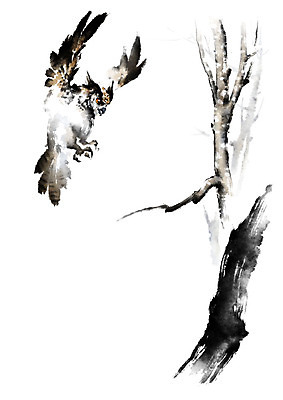 PSD 나무 한마리 겨울 일러스트 캘리그라피 붓터치 사람없음 갈색 검은색 나뭇가지 비행 번짐 부엉이 국내일러스트 식물 1 계절 컬러 조류 파일형식 효과