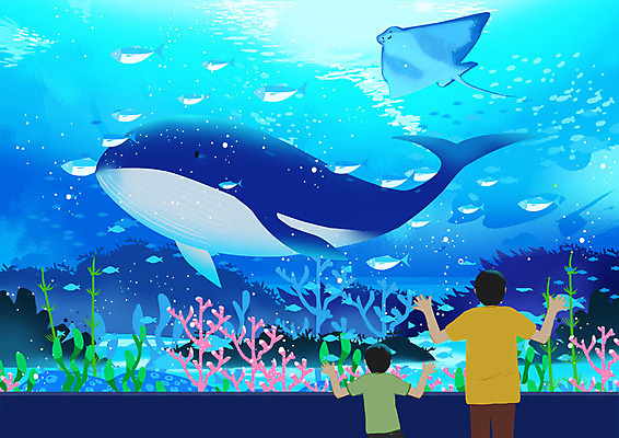 PSD 응시 남자 어린이 여행 일러스트 어류 사람 상반신 성인 두명 바닷속 세계여행 산호초 구경 돌고래 수족관 가오리 부자지간 국내일러스트 시선 아들 포유류 가족 세계 수중 수중동물 수중식물 아빠 파일형식