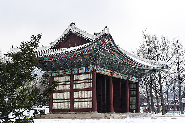 포토 JPG 주간 나무 한국전통 고건축 겨울 한국건축 하늘 서울 사람없음 야외 궁전 문화재 덕수궁 겨울풍경 국내포토 자연요소 식물 전통 건축물 계절 건축 한국 풍경 파일형식