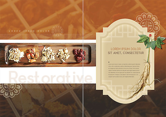 PSD 템플릿 전통 북디자인 내지 리플렛 패턴 북커버 의학 한국 팜플렛 사람없음 전통무늬 한의학 약재 한약재 인삼 한약 인삼꽃 이미지템플릿 꽃 아시아 무늬 약 삼 파일형식