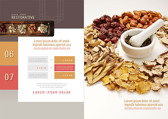 PSD 템플릿 전통 북디자인 내지 리플렛 북커버 의학 팜플렛 사람없음 전통문양 한의학 약재 한약재 한약 막자사발 이미지템플릿 문양 약 사발 파일형식