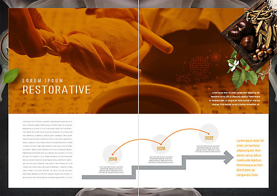 PSD 템플릿 북디자인 손 내지 리플렛 북커버 의학 그래프 나뭇잎 팜플렛 신체부위 한의학 약재 한약재 막대기 밤 한약 삼베 인삼꽃 짜기 이미지템플릿 꽃 잎 모션 사람 약 견과류 파일형식 천_직물