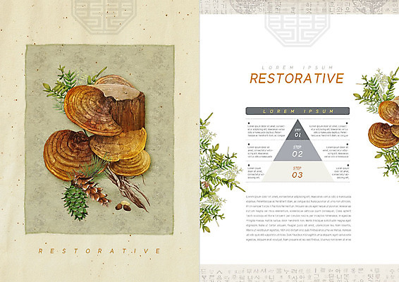 PSD 템플릿 북디자인 내지 리플렛 잎 북커버 의학 그래프 나뭇잎 팜플렛 사람없음 전통문양 한의학 한약재 한약 솔잎 영지버섯 이미지템플릿 식물 전통 문양 약 버섯 약재 파일형식