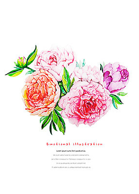 PSD 식물 꽃 여러송이 일러스트 수채화 따뜻함 사람없음 화려 카네이션 감성 국내일러스트 다수 컨셉 파일형식
