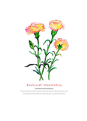 PSD 식물 꽃 일러스트 수채화 따뜻함 사람없음 화려 카네이션 세송이 감성 국내일러스트 컨셉 3 파일형식