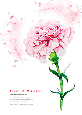 PSD 식물 꽃 분홍색 한송이 일러스트 붓터치 수채화 따뜻함 사람없음 화려 카네이션 번짐 감성 국내일러스트 1 컬러 컨셉 송이 파일형식 효과
