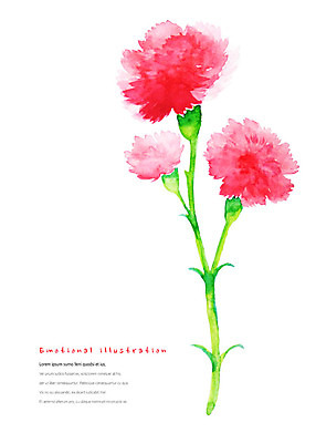 PSD 식물 꽃 일러스트 붓터치 수채화 따뜻함 사람없음 빨간색 화려 카네이션 번짐 세송이 감성 국내일러스트 컬러 컨셉 3 파일형식 효과
