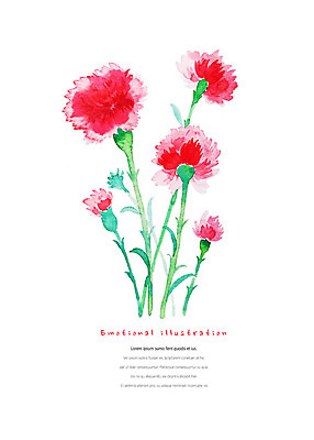 PSD 식물 꽃 여러송이 일러스트 붓터치 수채화 따뜻함 사람없음 빨간색 화려 카네이션 번짐 감성 국내일러스트 컬러 다수 컨셉 파일형식 효과