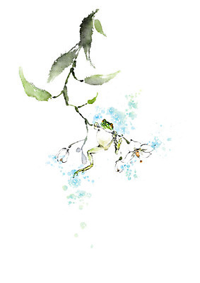 PSD 한마리 꽃 일러스트 캘리그라피 자연 붓터치 나뭇잎 매달리기 개구리 풍경 사람없음 초록색 파란색 봄 나뭇가지 번짐 경칩 국내일러스트 나무 식물 1 계절 컬러 잎 모션 양서류 절기 생태계 파일형식 효과