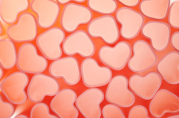 포토 JPG 스튜디오촬영 행복 감정 백그라운드 실내 사랑 사람없음 빨간색 여러개 하트 즐거움 오브젝트 국내포토 모양 컬러 다수 내부 파일형식