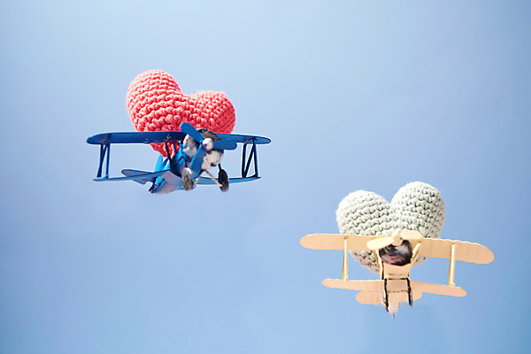 포토 JPG 스튜디오촬영 행복 감정 쿠션 하늘 실내 사랑 누끼 사람없음 파란색 장난감 하트 비행 즐거움 오브젝트 파란배경 경비행기 국내포토 모양 컬러 백그라운드 비행기 내부 파일형식