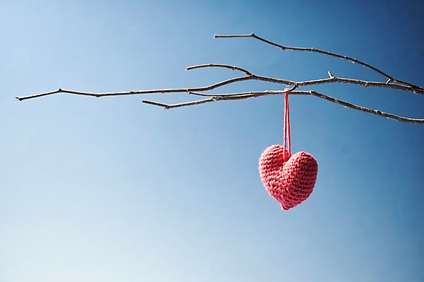 포토 JPG 스튜디오촬영 행복 감정 분홍색 백그라운드 하늘 실내 매달리기 사랑 누끼 사람없음 파란색 나뭇가지 하트 털실 즐거움 오브젝트 파란배경 국내포토 모양 나무 컬러 모션 내부 실 파일형식 식물