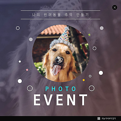 PSD 템플릿 한마리 ZIP 반려견 웹템플릿 팝업 이벤트팝업 웹팝업 이벤트 사람없음 반려동물 세일 골든리트리버 강아지 추억 반려 빅팝업 이미지템플릿 동물 1 컨셉 개 리트리버 파일형식