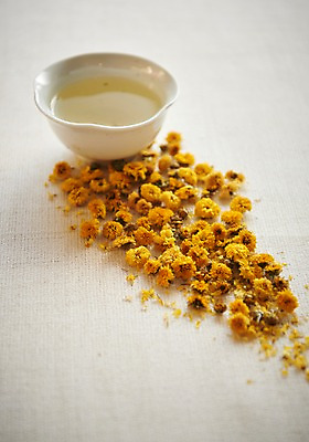 포토 JPG 스튜디오촬영 동양문화 전통 음료 국화 실내 건강 누끼 사람없음 차 전통차 찻잔 다도 국화차 국내포토 꽃 문화 잔 내부 차_음료 예절 파일형식