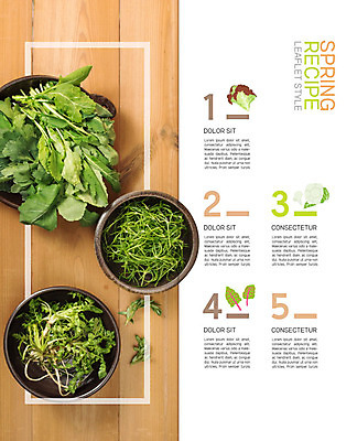 PSD 템플릿 표지디자인 북디자인 출판디자인 계절 내지 음식 리플렛 채소 2단접지 북커버 요리 팜플렛 사람없음 봄 레시피 봄나물 쌈채소 이미지템플릿 나물 파일형식