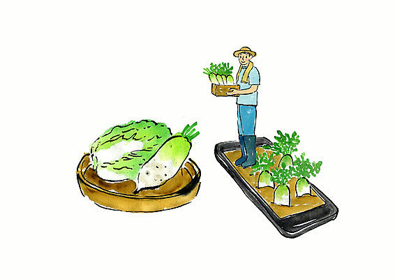 전신 PSD 남자 일러스트 붓터치 수채화 한명 사람 성인 스마트폰 농사 농부 무 스마트 배송 배추 무밭 생산지 직거래 성인남자한명만 국내일러스트 직업 1 컨셉 밭 농업 채소 뿌리채소 핸드폰 스마트기기 거래 남자한명만 성인남자만 파일형식