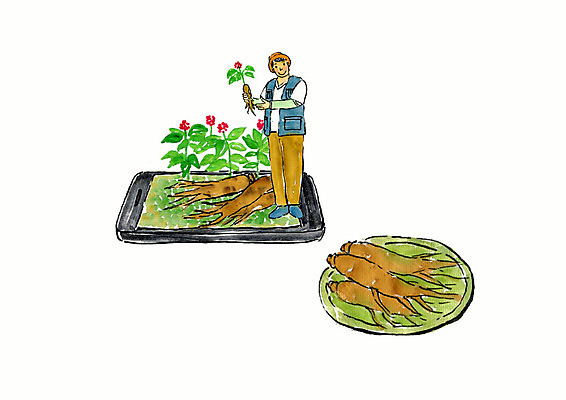 전신 PSD 남자 일러스트 붓터치 수채화 한명 사람 성인 스마트폰 바구니 인삼 스마트 배송 생산지 인삼꽃 직거래 성인남자한명만 국내일러스트 1 꽃 컨셉 핸드폰 스마트기기 거래 삼 남자한명만 성인남자만 파일형식