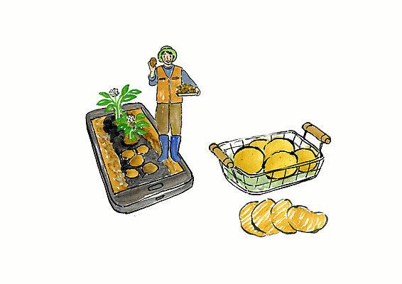 전신 PSD 남자 일러스트 붓터치 수채화 감자 한명 사람 성인 스마트폰 바구니 스마트 배송 슬라이스 감자밭 생산지 직거래 성인남자한명만 국내일러스트 1 컨셉 밭 채소 핸드폰 스마트기기 거래 남자한명만 성인남자만 파일형식