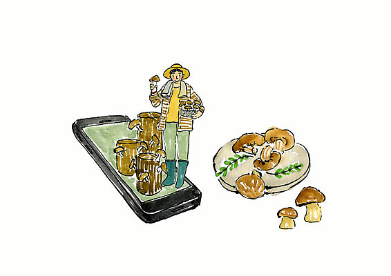 전신 PSD 남자 일러스트 붓터치 수채화 한명 미소 들기 사람 성인 스마트폰 바구니 버섯 스마트 배송 직거래 성인남자한명만 국내일러스트 1 컨셉 모션 표정 핸드폰 스마트기기 거래 남자한명만 성인남자만 파일형식