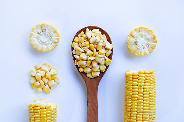 포토 JPG 해외이미지 단면 실내 옥수수 사람없음 흰배경 나무숟가락 옥수수알갱이 해외포토 백그라운드 곡류 내부 숟가락 흰색 파일형식 이미지허브