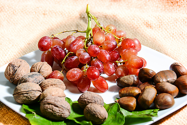 포토 JPG 해외이미지 겨울 과일 자연 포도 건강 사람없음 사과 복지 블루베리 산딸기 호두 석류 블랙베리 해외포토 계절 견과류 사회이슈 생태계 파일형식 이미지허브