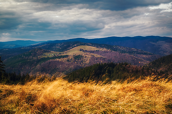 포토 JPG 해외이미지 주간 나무 하늘 산 사람없음 야외 가을풍경 먹구름 루마니아 해외포토 자연요소 식물 유럽 풍경 파일형식 가을_계절 구름_자연 이미지허브