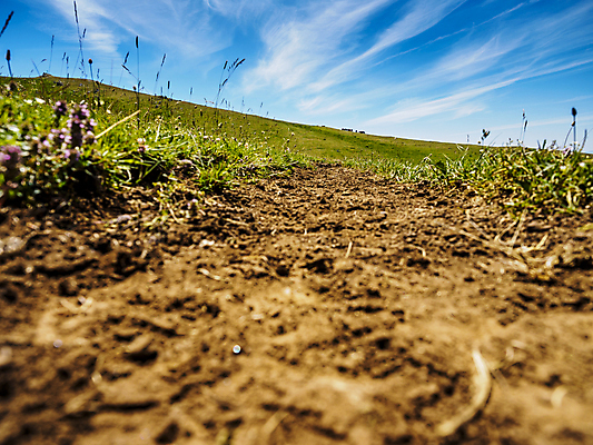 포토 JPG 해외이미지 동물 구름 밭 농업 포유류 자연 하늘 새로움 산 풍경 사람없음 야외 초록색 파란색 태양 농장 농경지 갈색 검은색 가축 소고기 시골 그룹 소 승마 군중 숲 방목 먹기 장면 갈기 기르기 밭일 수유 해외포토 자연요소 산업 스포츠 컬러 컨셉 모션 육류 사람 축산업 생태계 돌봄 파일형식 이미지허브