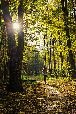 포토 JPG 해외이미지 나무 공원 여자 길 잎 사람없음 빛 컬러풀 햇빛 태양 노란색 머리카락 맑음 광선 황금 숲 11월 10월 해외포토 자연요소 식물 공공시설 컬러 날씨 사람 머리 날짜 파일형식 이미지허브
