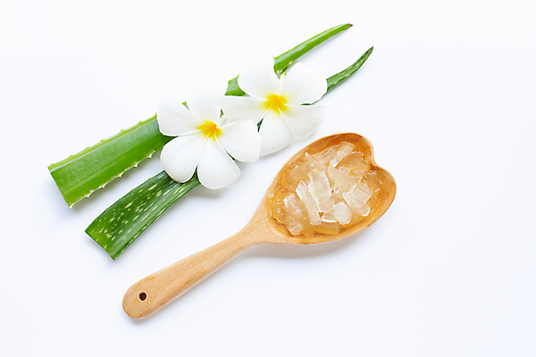 포토 JPG 해외이미지 스튜디오촬영 꽃 실내 사람없음 뷰티 흰배경 나무숟가락 알로에 해외포토 식물 백그라운드 내부 숟가락 흰색 파일형식 이미지허브