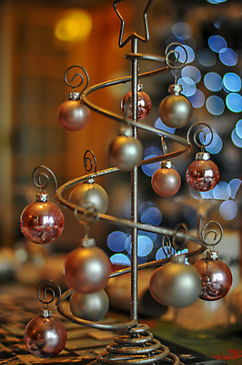 포토 JPG 해외이미지 사람없음 보케 해외포토 파일형식 이미지허브