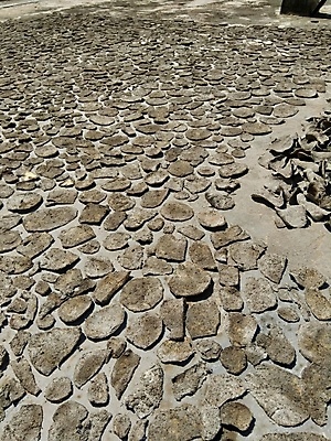 포토 JPG 해외이미지 1 전통 디자인 음식 벽 채소 재료 밥 새우 감자 건강 동양인 사람없음 초록색 식당 검은색 수확 독약 닫기 달콤 허브 싱글 유기농 질감 날것 뿌리 먼지 고립 재 해외포토 식물 웰빙 컬러 농업 모션 갑각류 인종 상점 맛 파일형식 이미지허브