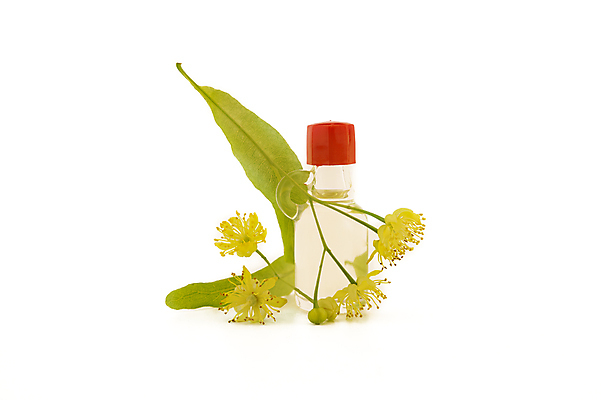 포토 JPG 해외이미지 식물 전통 꽃잎 꽃 백그라운드 꽃무늬 재료 자연 휴식 건강 씨앗 사람없음 치료 빨간색 초록색 약 노란색 신선 약초 허브 향기 아로마 향 마법 아로마테라피 테라피 내추럴 고립 돌봄 에센스 추출 치료제 해외포토 컬러 컨셉 무늬 의학 모션 뷰티 화장품 풀_식물 생태계 냄새 파일형식 이미지허브