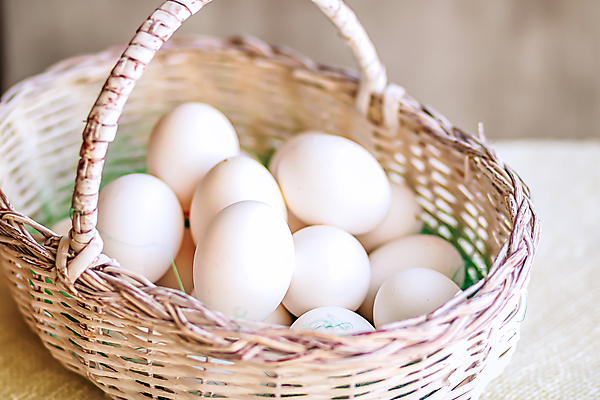 포토 JPG 해외이미지 전통 접시 백그라운드 농업 다이어트 재료 자연 휴가 부활절 건강 요리 사람없음 목재 빛 농장 갈색 노란색 바구니 계란 치킨 봄 수확 껍질 흰색 시골 축하 신선 그룹 아침식사 널 가득함 심볼 오브젝트 유기농 날것 심플 밀짚 내추럴 고립 단백질 생식 암탉 취급주의 해외포토 나무 식기 웰빙 계절 기념일 산업 컬러 컨셉 경고 알 식사 닭 짚 암컷 생태계 닭고기요리 영양소 파일형식 이미지허브