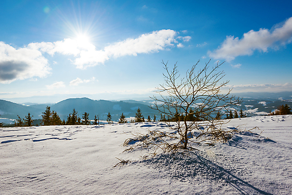 포토 JPG 해외이미지 나무 구름 유럽 여행 겨울 자연 하늘 휴가 스키 산 파노라마 풍경 사람없음 야외 파란색 태양 맑음 냉동 얼음 트래킹 하이킹 추위 성장 흰색 소나무 숲 언덕 서리 북쪽 슬로프 산악지대 웅장함 절정 폭설 눈내림 가문비나무 해외포토 자연요소 식물 계절 나라 컬러 레저 날씨 겨울스포츠 스키장 눈_날씨 촬영기법 자연재해 방향 생태계 파일형식 이미지허브