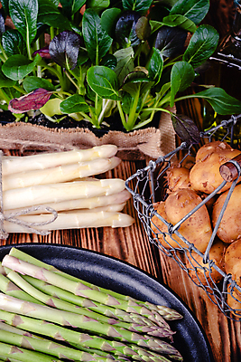 포토 JPG 해외이미지 계절 음식 잎 농업 다이어트 토마토 채소 재료 자연 탁자 감자 건강 마늘 사람없음 목재 빨간색 정원 보라색 샐러드 수확 성장 시골 신선 상추 다발 허브 속도 유기농 원예 아스파라거스 날것 뿌리 내추럴 비트 아티초크 채식주의자 비건 해외포토 나무 식물 웰빙 산업 컬러 가구 취미 생태계 채식 파일형식 이미지허브