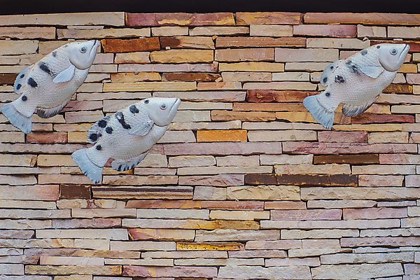 포토 JPG 해외이미지 디자인 외관 벽 백그라운드 패턴 학교 자연 표면 추상 돌담 어류 사람없음 내부 건물 장식 울타리 쌓기 골동품 바위 시골 판넬 얼룩 거친 균열 배열 질감 모자이크 사암 다리찢기 그런지 석회암 옛날 줄서기 화강암 해외포토 건축물 교육 무늬 모션 담장 수중동물 암석 돌_바위 생태계 파일형식 이미지허브