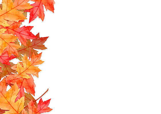 포토 JPG 해외이미지 나무 식물 디자인 배너 계절 백그라운드 단풍 잎 꽃무늬 오렌지 일러스트 자연 추상 수채화 프레임 건조 미술 사람없음 장식 빨간색 노란색 환경 정원 축제 페인트 수확 가을 축복 숲 9월 그림 감사 추수감사절 10월 단아함 해외일러스트 꽃 감정 기독교 컬러 컨셉 무늬 농업 과일 문화예술 날짜 생태계 파일형식 이미지허브