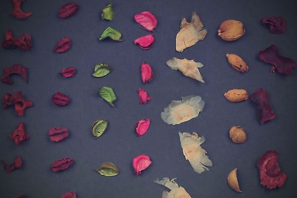 포토 JPG 해외이미지 전통 계절 백그라운드 잎 크리스마스 자연 주택 건조 사람없음 장식 빨간색 컬러풀 보라색 축제 활발 펼침 소나무 사발 닫기 혼합 자주색 향수 향기 솔방울 진홍색 아로마테라피 원뿔 강렬 꼬투리 해외포토 도형 나무 식물 기념일 컬러 컨셉 모션 건물 화장품 사기그릇 생태계 냄새 테라피 파일형식 이미지허브